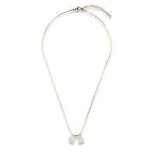 Load image into Gallery viewer, Mother of Pearl Scapular Necklace | Llena de Gracia